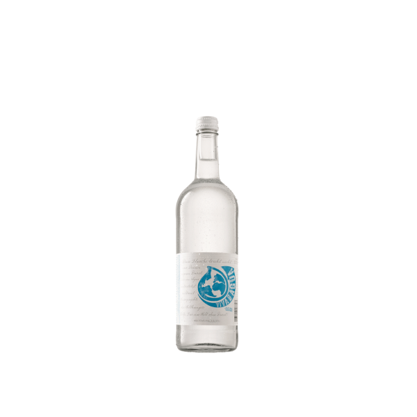 VIVA CON AGUA leise 12 x 0,75l